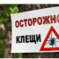 Осторожно: клещи! - Куйбышевский район