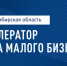 Стань лидером Акселератора роста малого бизнеса в Новосибирской области - Куйбышевский район