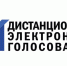 Выборы-2023: впервые жители Новосибирской области смогут проголосовать онлайн - Куйбышевский район