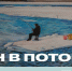 Рыба или жизнь? - Куйбышевский район