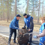 Работники администрации приняли участие в общегородском субботнике