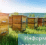 Вниманию пчеловодов - Куйбышевский район