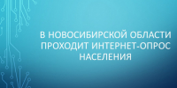 В Новосибирской области проходит опрос населения - Куйбышевский район